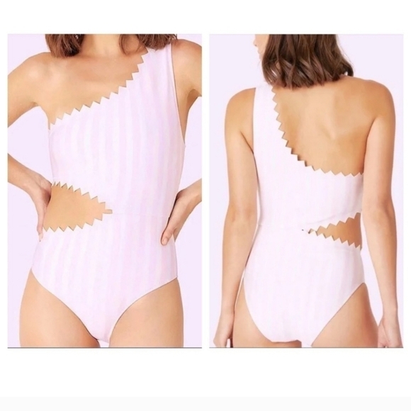 New With Tag Onia Betty Macro Stripe Cradle Pink One Piece Swimsuit NWT XS - Picture 1 of 14